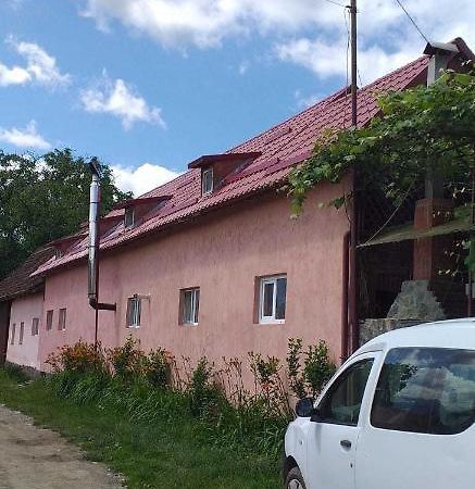 Вілла Casa Boierului Imbri Кирцишоара Екстер'єр фото