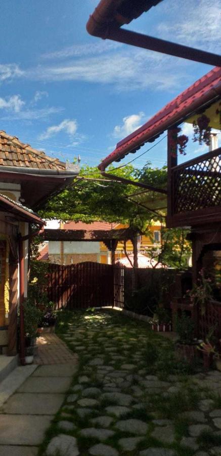 Вілла Casa Boierului Imbri Кирцишоара Екстер'єр фото