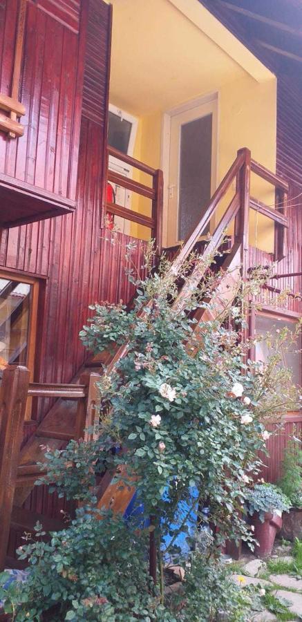 Вілла Casa Boierului Imbri Кирцишоара Екстер'єр фото