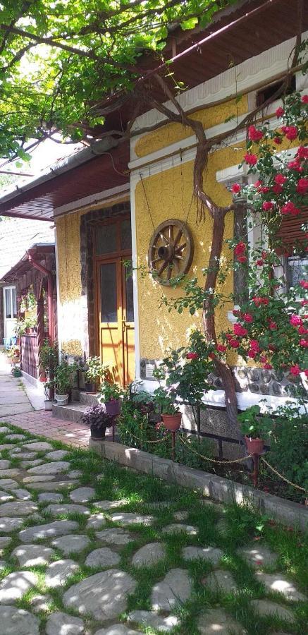 Вілла Casa Boierului Imbri Кирцишоара Екстер'єр фото
